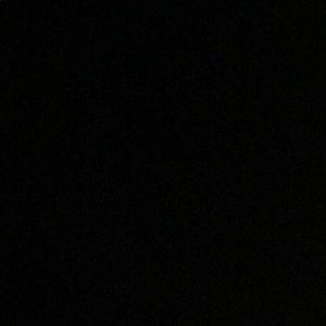 Meet your Posher, Bernardo